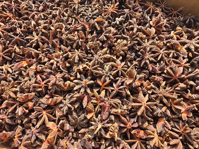 โป๊ยกั๊ก (Star Anise)